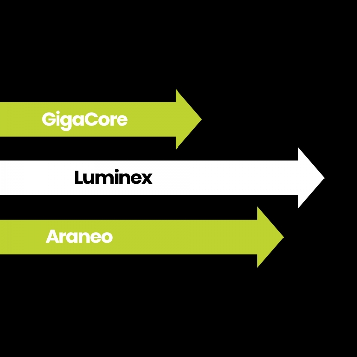 GigaCore 16Xt, GigaCore 16Xt, Luminex Network Intelligence